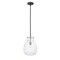 Z-Lite Bella 1 Light Mini Pendant, Matte Black & Clear 476P-ROD-MB-BN - alternate 3